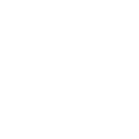 vector